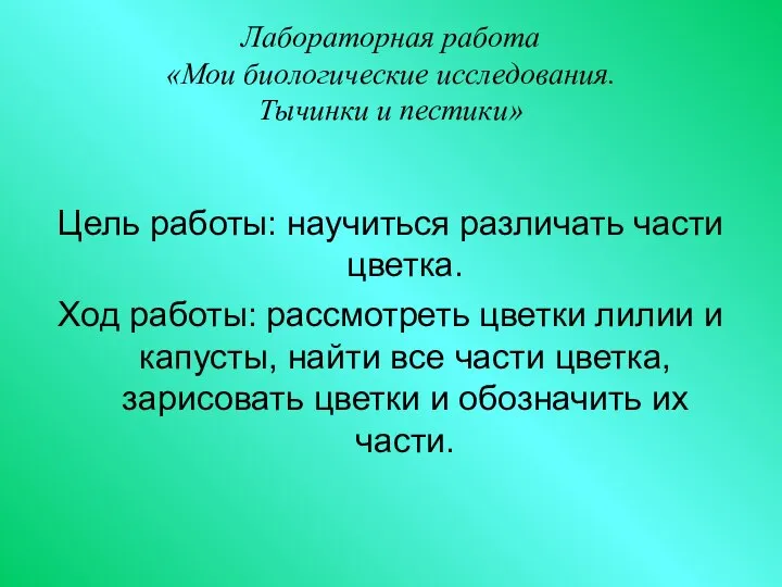 Лабораторная работа «Мои биологические исследования. Тычинки и пестики» Цель работы: научиться различать