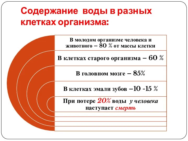 Содержание воды в разных клетках организма: