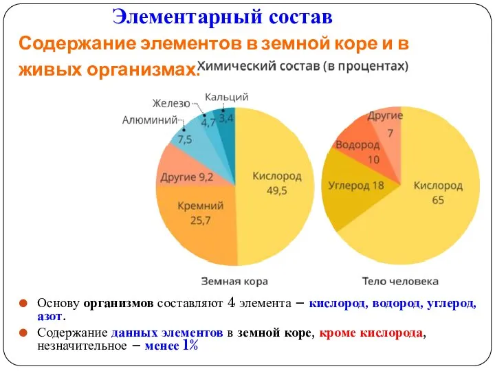 Содержание элементов в земной коре и в живых организмах. Основу организмов составляют