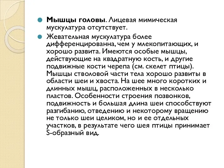 Мышцы головы. Лицевая мимическая мускулатура отсутствует. Жевательная мускулатура более дифференцированна, чем у