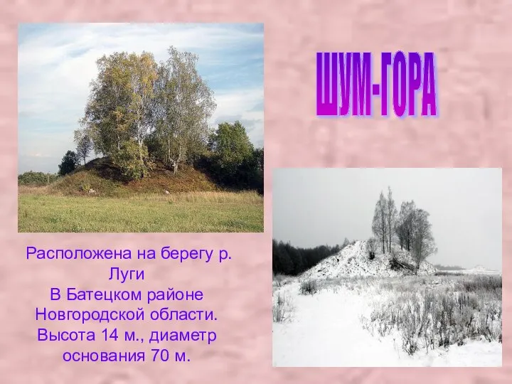 ШУМ-ГОРА Расположена на берегу р.Луги В Батецком районе Новгородской области. Высота 14