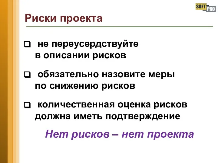 Риски проекта не переусердствуйте в описании рисков обязательно назовите меры по снижению