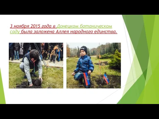 3 ноября 2015 года в Донецком ботаническом саду была заложена Аллея народного единства.