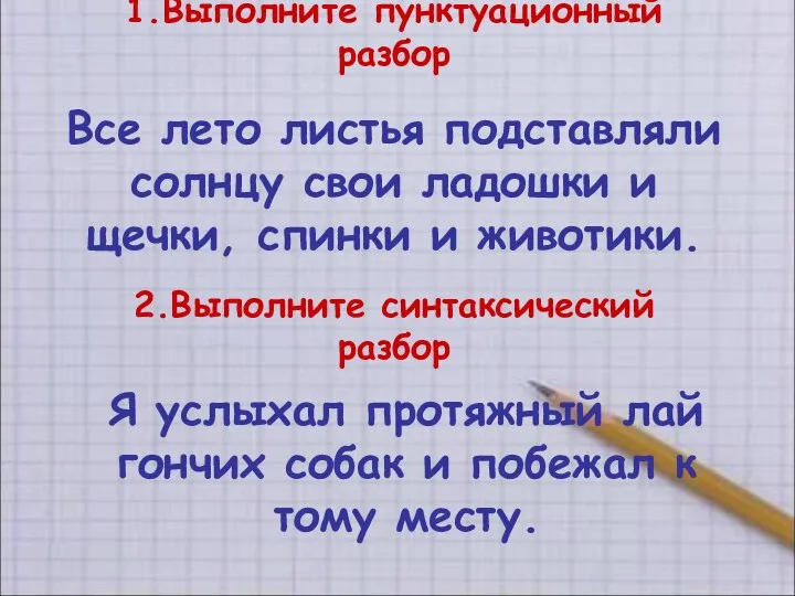 1.Выполните пунктуационный разбор Все лето листья подставляли солнцу свои ладошки и щечки,