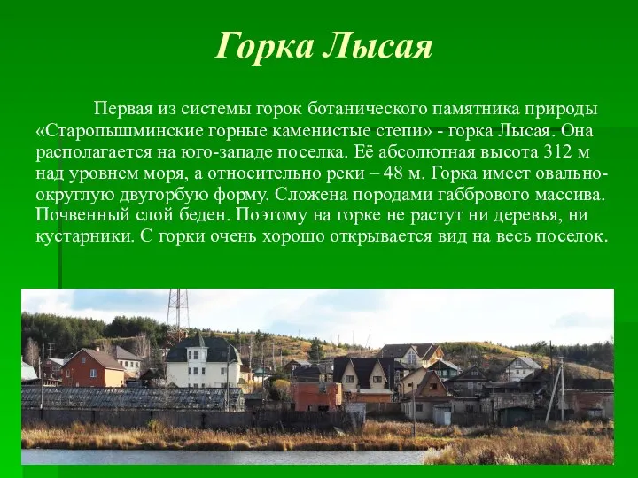 Горка Лысая Первая из системы горок ботанического памятника природы «Старопышминские горные каменистые