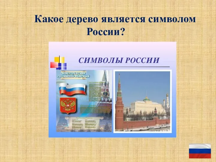 Какое дерево является символом России?