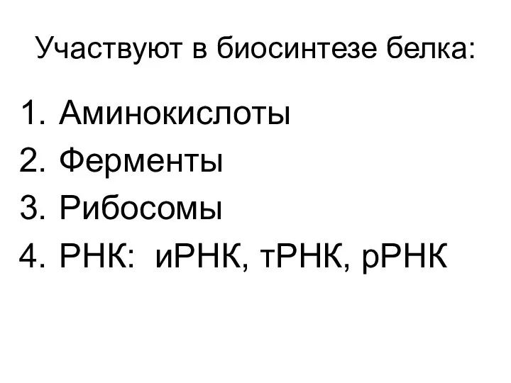 Участвуют в биосинтезе белка: Аминокислоты Ферменты Рибосомы РНК: иРНК, тРНК, рРНК