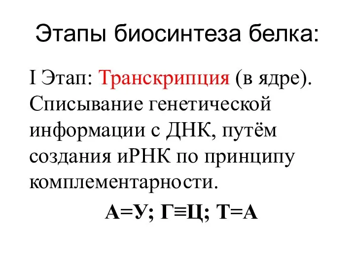 Этапы биосинтеза белка: I Этап: Транскрипция (в ядре). Списывание генетической информации с