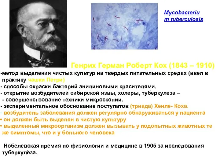 Mycobacterium tuberculosis Генрих Герман Роберт Кох (1843 – 1910) метод выделения чистых