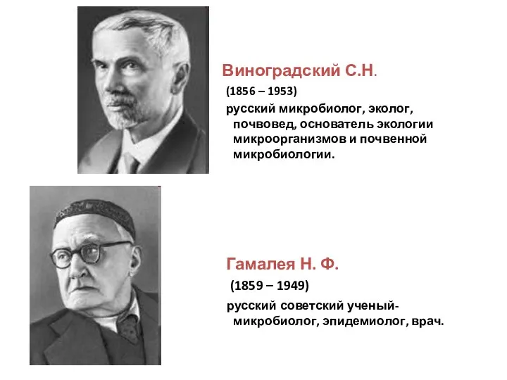 Виноградский С.Н. (1856 – 1953) русский микробиолог, эколог, почвовед, основатель экологии микроорганизмов