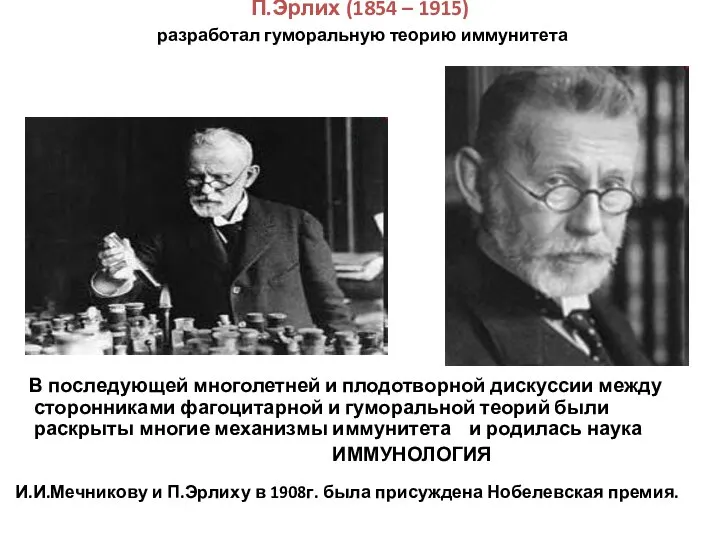 П.Эрлих (1854 – 1915) разработал гуморальную теорию иммунитета В последующей многолетней и