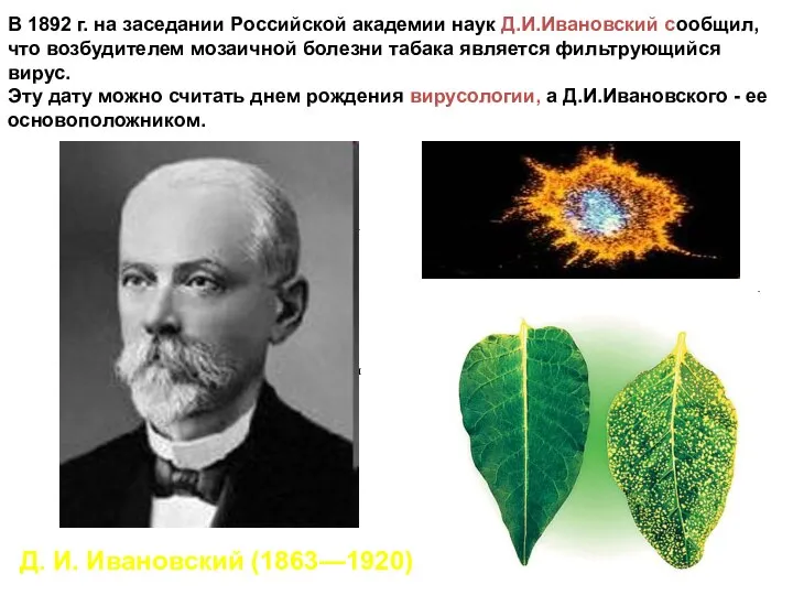 а я В 1892 г. на заседании Российской академии наук Д.И.Ивановский сообщил,
