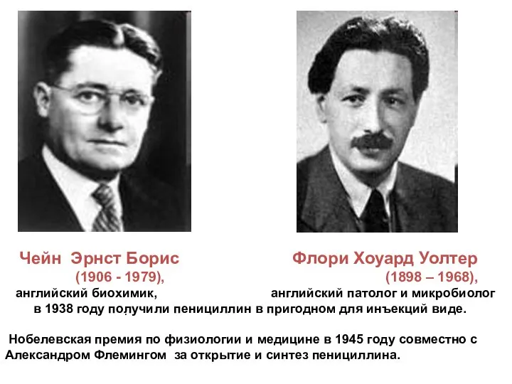 . Чейн Эрнст Борис Флори Хоуард Уолтер (1906 - 1979), (1898 –