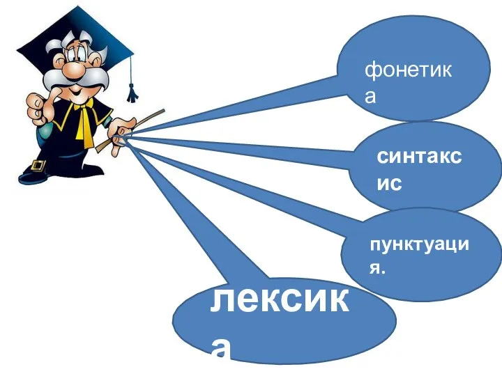 фонетика синтаксис пунктуация. лексика