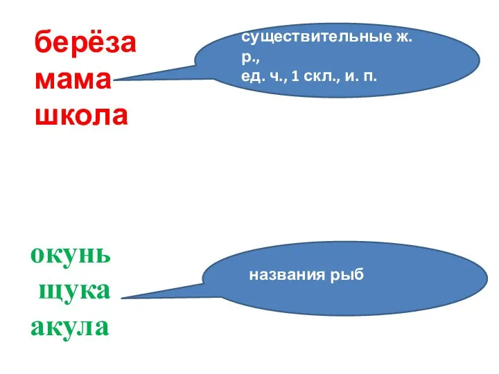 берёза мама школа окунь щука акула существительные ж. р., ед. ч., 1