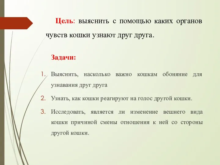 Цель: выяснить с помощью каких органов чувств кошки узнают друг друга. Задачи: