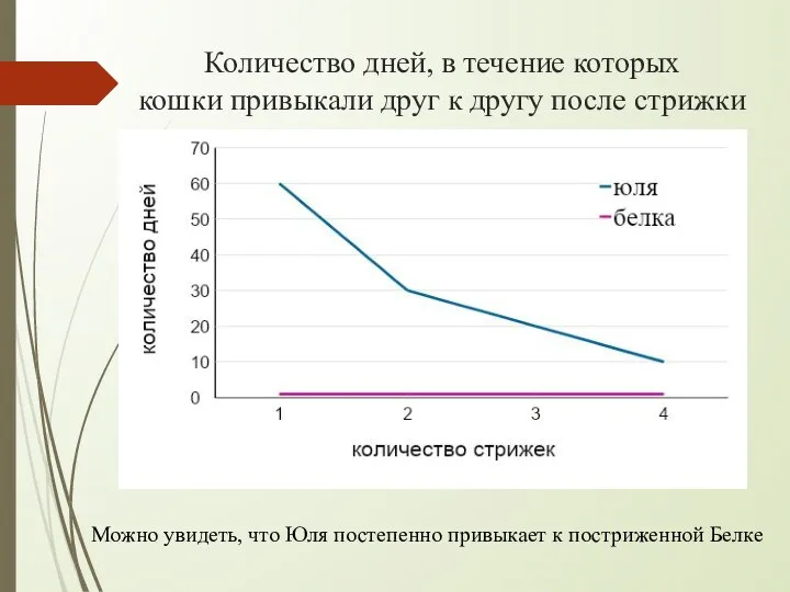 Количество дней, в течение которых кошки привыкали друг к другу после стрижки