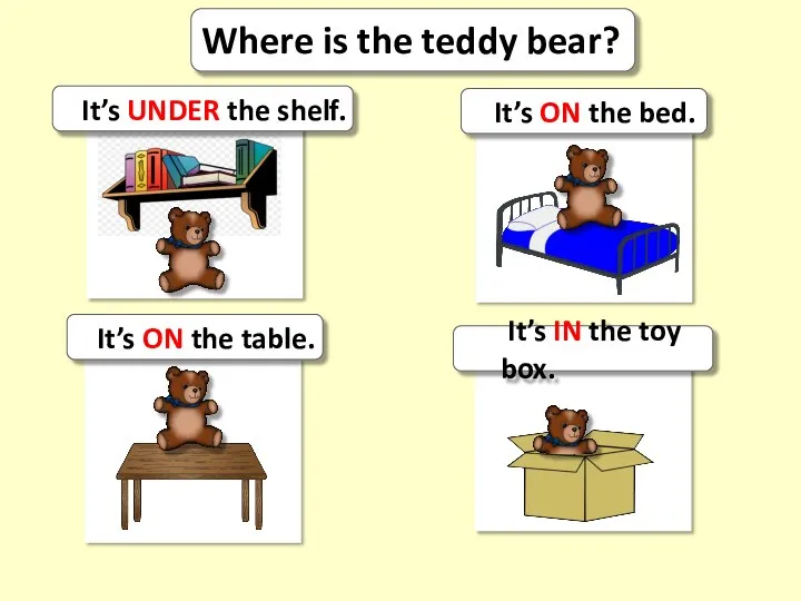Where is the teddy bear? It’s UNDER the shelf. It’s ON the