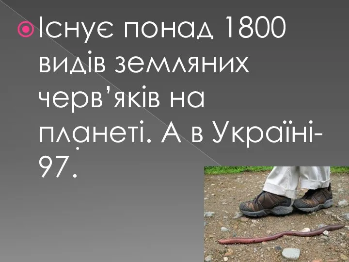 Iснує понад 1800 видiв земляних черв’якiв на планетi. А в Українi- 97. .