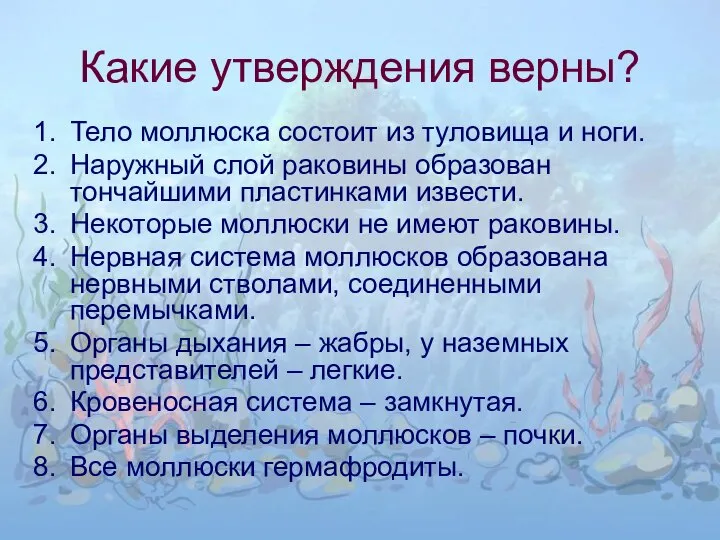 Какие утверждения верны? Тело моллюска состоит из туловища и ноги. Наружный слой