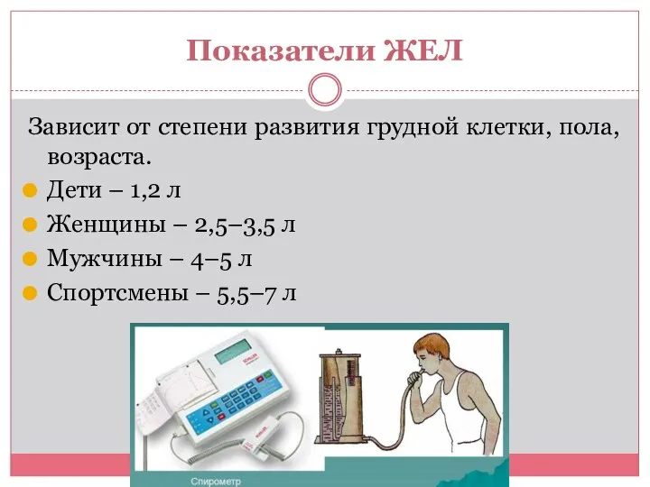 Показатели ЖЕЛ Зависит от степени развития грудной клетки, пола, возраста. Дети –