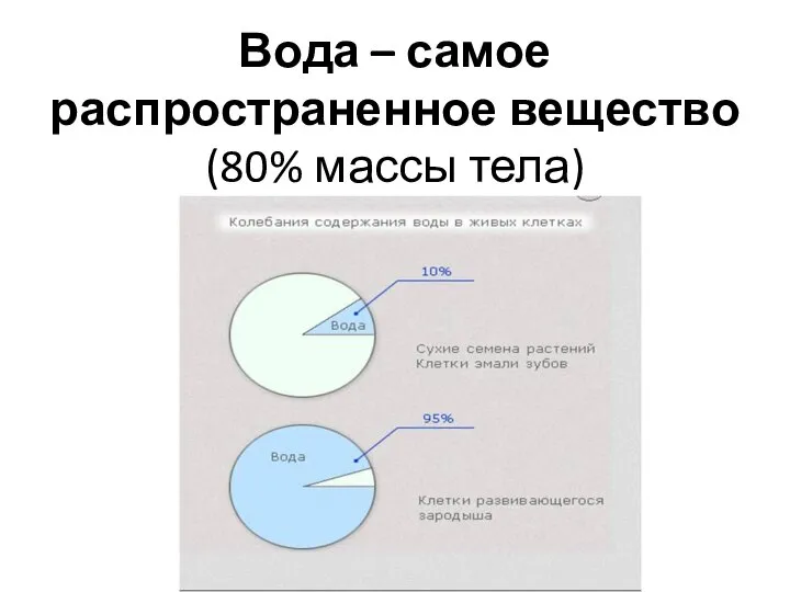 Вода – самое распространенное вещество (80% массы тела)