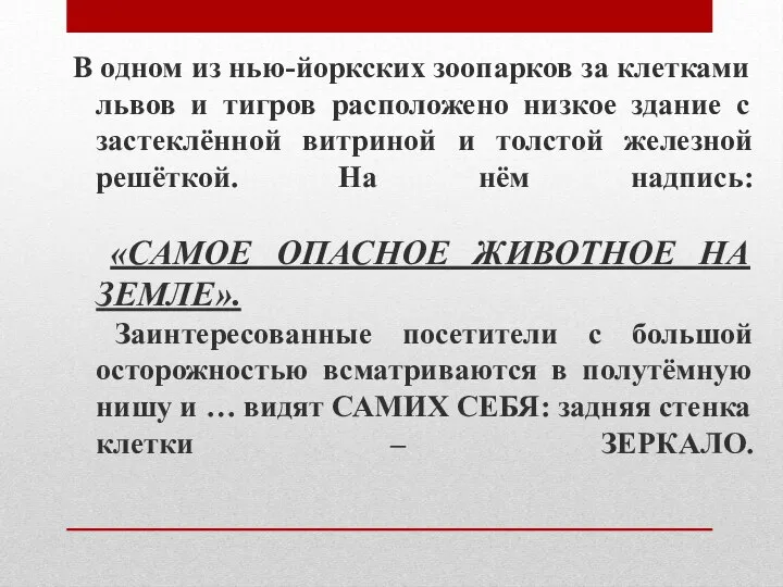 В одном из нью-йоркских зоопарков за клетками львов и тигров расположено низкое