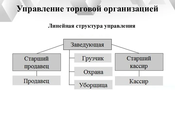 Управление торговой организацией Линейная структура управления