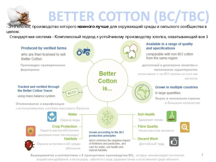 BETTER COTTON (BC/TBC) - Это хлопок, производство которого намного лучше для окружающей