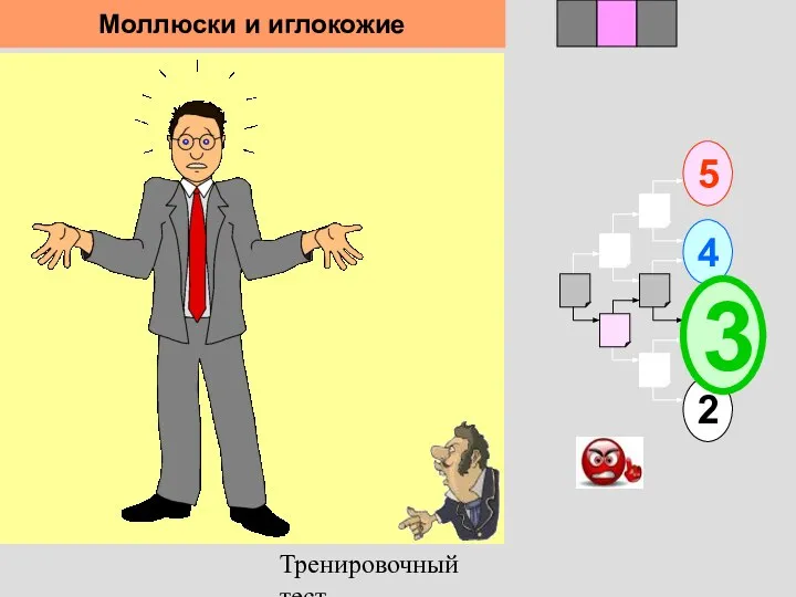 Тренировочный тест 1 5 2 4 2 3 3 Моллюски и иглокожие