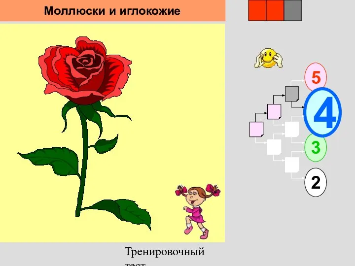 Тренировочный тест 1 5 2 3 4 2 3 Моллюски и иглокожие