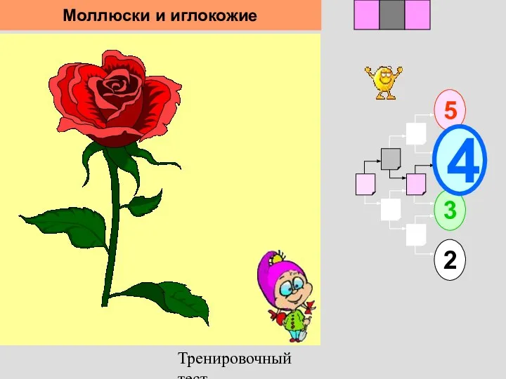 Тренировочный тест 1 5 2 3 2 3 4 Моллюски и иглокожие