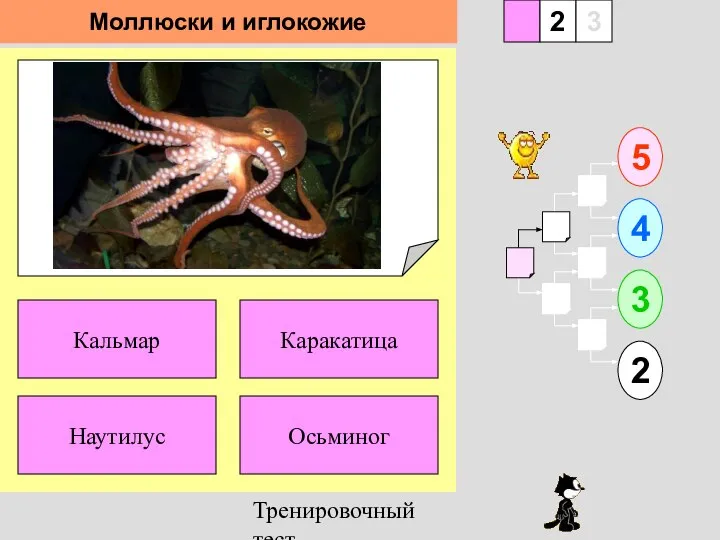 Тренировочный тест 1 Наутилус Осьминог 5 2 3 4 2 3 Каракатица Кальмар Моллюски и иглокожие