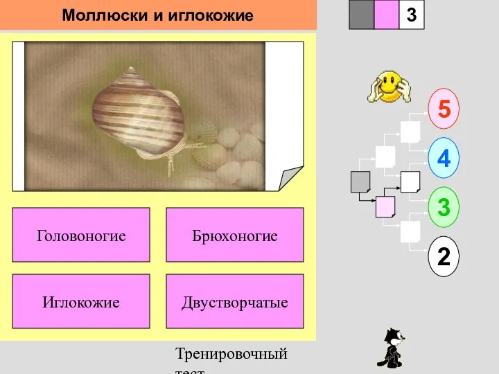 Тренировочный тест 1 Иглокожие Двустворчатые 5 2 3 4 2 3 Брюхоногие Головоногие Моллюски и иглокожие