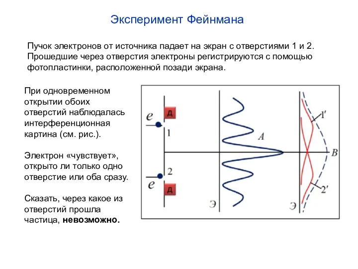 Эксперимент Фейнмана Пучок электронов от источника падает на экран с отверстиями 1