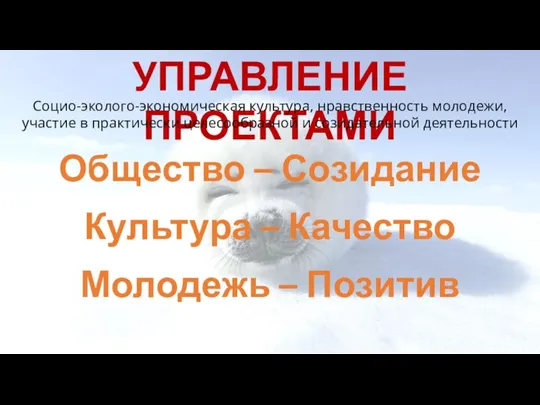 УПРАВЛЕНИЕ ПРОЕКТАМИ Общество – Созидание Культура – Качество Молодежь – Позитив Социо-эколого-экономическая