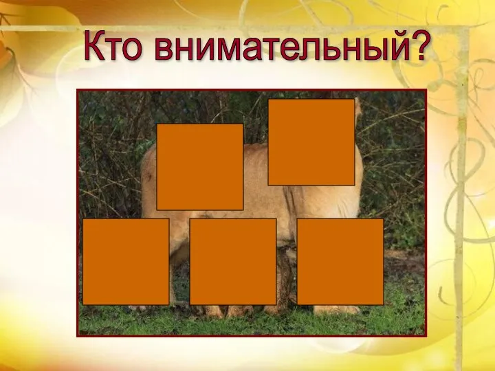 Кто внимательный?