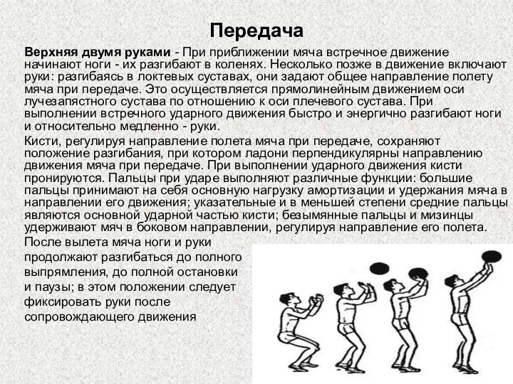 Передача Верхняя двумя руками - При приближении мяча встречное движение начинают ноги