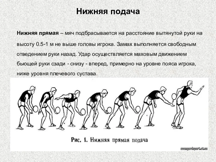 Нижняя подача Нижняя прямая – мяч подбрасывается на расстояние вытянутой руки на