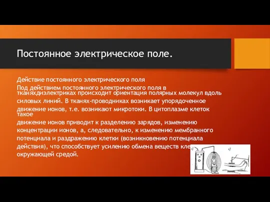 Постоянное электрическое поле. Действие постоянного электрического поля Под действием постоянного электрического поля