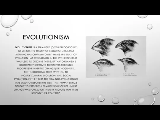 EVOLUTIONISM EVOLUTIONISM IS A TERM USED (OFTEN DEROGATORILY) TO DENOTE THE THEORY