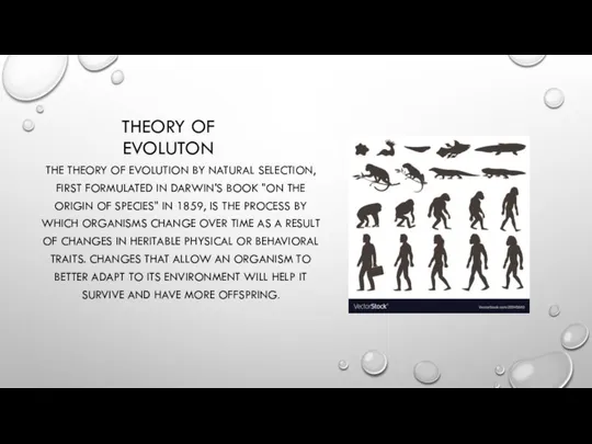 THEORY OF EVOLUTON THE THEORY OF EVOLUTION BY NATURAL SELECTION, FIRST FORMULATED