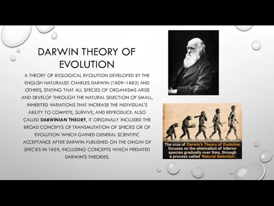 DARWIN THEORY OF EVOLUTION A THEORY OF BIOLOGICAL EVOLUTION DEVELOPED BY THE