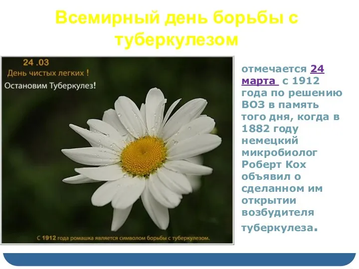 Всемирный день борьбы с туберкулезом отмечается 24 марта с 1912 года по