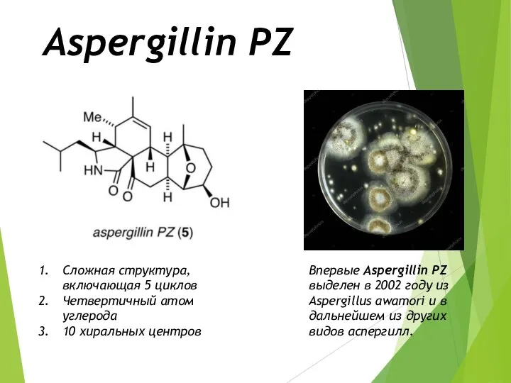 Aspergillin PZ Cложная структура, включающая 5 циклов Четвертичный атом углерода 10 хиральных