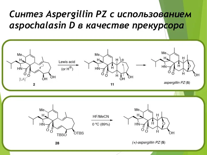 Синтез Aspergillin PZ с использованием aspochalasin D в качестве прекурсора