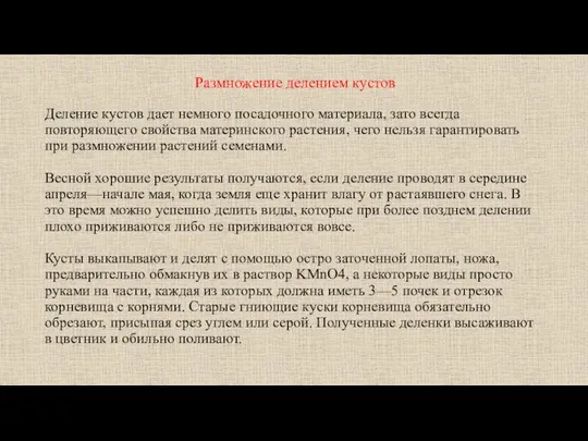 Размножение делением кустов Деление кустов дает немного посадочного материала, зато всегда повторяющего