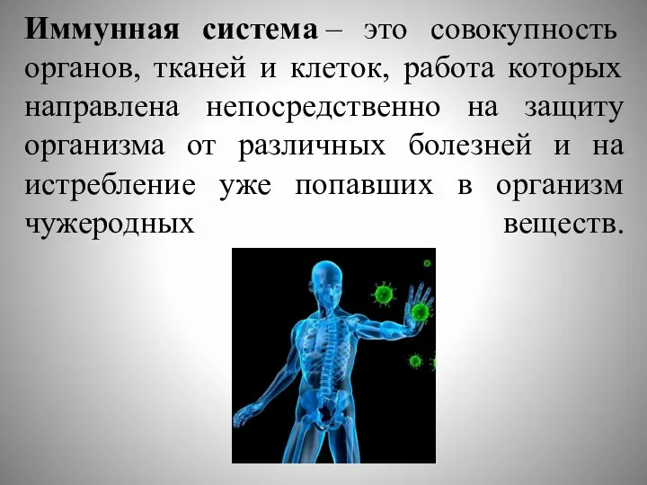 Иммунная система – это совокупность органов, тканей и клеток, работа которых направлена