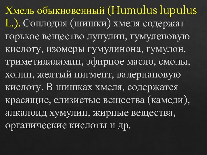 Хмель обыкновенный (Humulus lupulus L.). Соплодия (шишки) хмеля содержат горькое вещество лупулин,