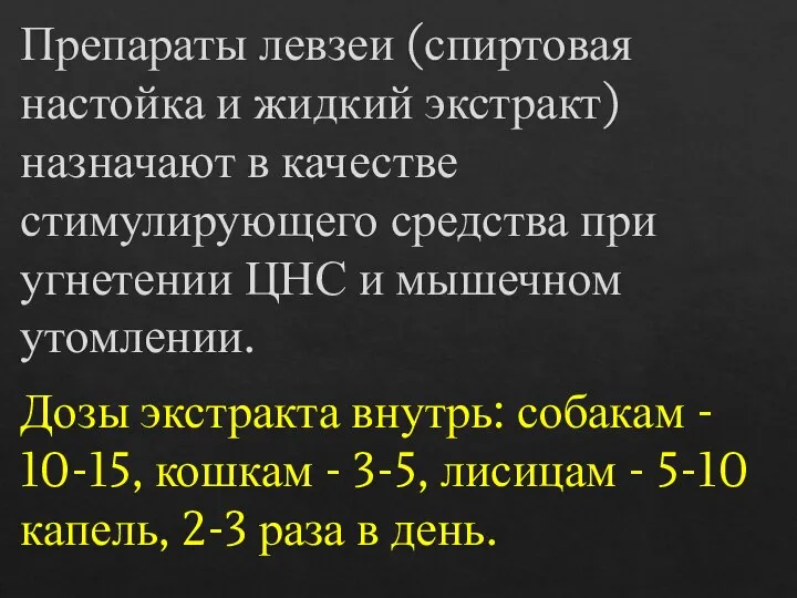 Препараты левзеи (спиртовая настойка и жидкий экстракт) назначают в качестве стимулирующего средства